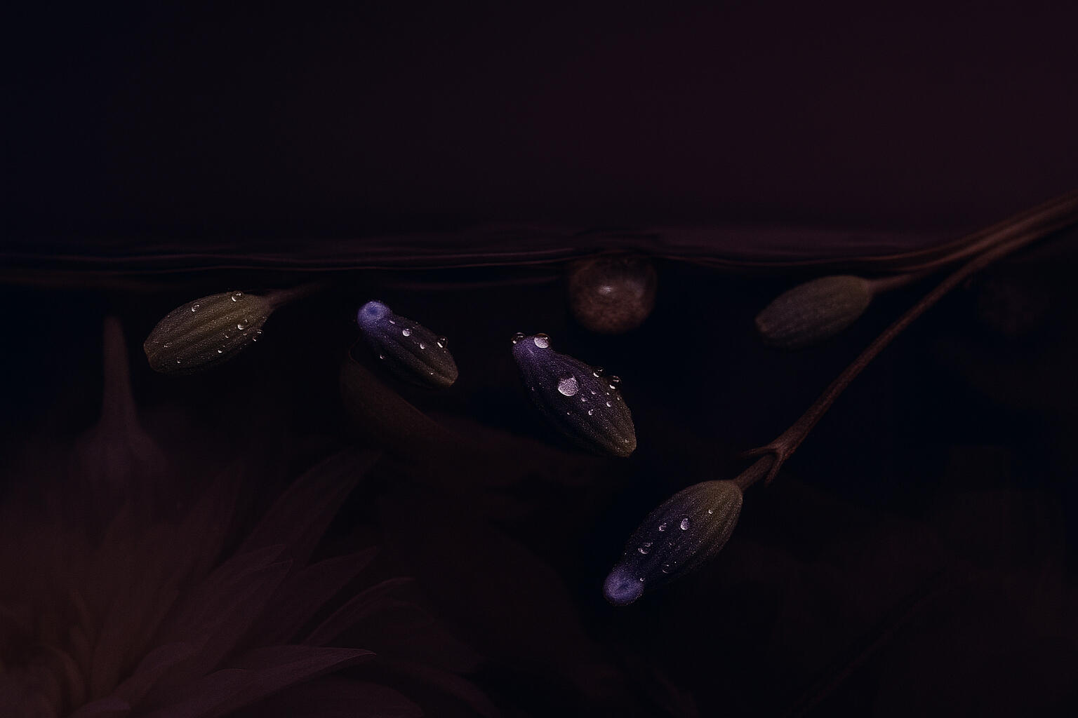 Về chúng tôi làm trà